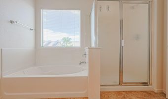 30205 W FLOWER St, Buckeye, AZ 85396