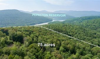 Lot 28.1 Shaver hollow, Andes, NY 13731