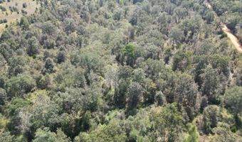 S80 Helt Rd, Antlers, OK 74525