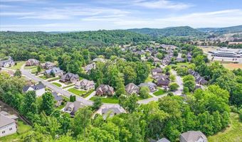10589 Brownspring Dr 114, Apison, TN 37302