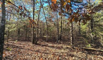 TBD Raw Land, Bates, AR 72958