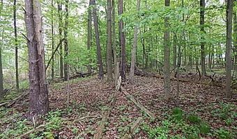 15250 27 Mile Rd, Albion, MI 49224