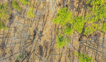 Larkin Mountain, Amherst, VA 24521