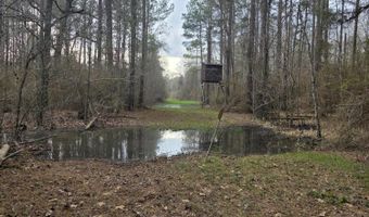 U.S. Highway 51, Bogue Chitto, MS 39629