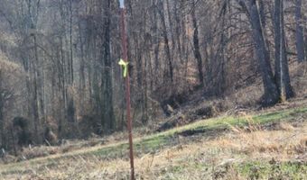 Lord Botetourt Court lot 13, Baxter, TN 38506