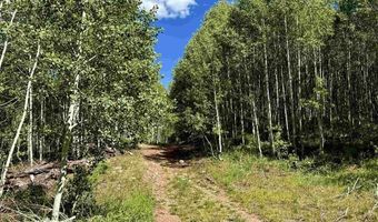CR 501, Bayfield, CO 81122
