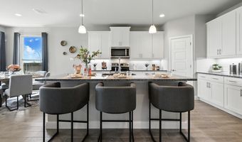 704 SOARING HAWK Dr, Fort Worth, TX 76008