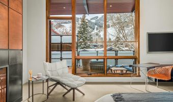 233 E Cooper Ave 301, Aspen, CO 81611