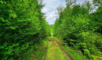 5897 VT-102, Bloomfield, VT 05905