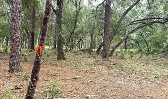 SE 152ND - RAVENSWOOD RD PARCEL B & C LOTS 16 17 Place, Altoona, FL 32702