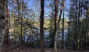 V/L Wildwood Road lot 9, Alger, MI 48610