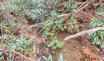 135 49ac Webb Creek Rd, Andrews, NC 28901