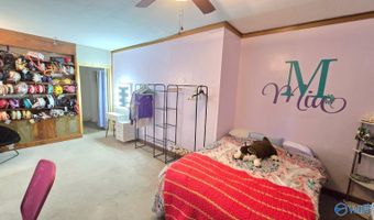 301 S Carlisle St, Albertville, AL 35950