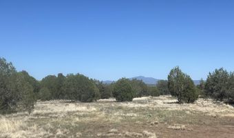 9188 W Gleed Station Rd, Ash Fork, AZ 86320