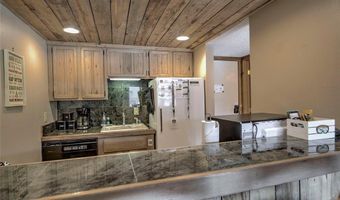 600 S Park Ave 218, Breckenridge, CO 80424