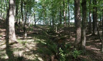 339 MCNUTT Rd, Bear Creek, AL 35543
