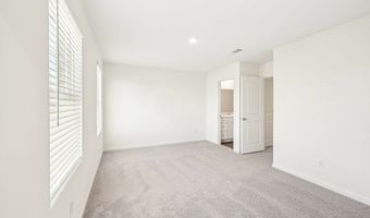 10644 Harlequinn Plan: Discovery, Adkins, TX 78101