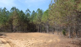 115 Collier Rd, Hickory Flat, MS 38633