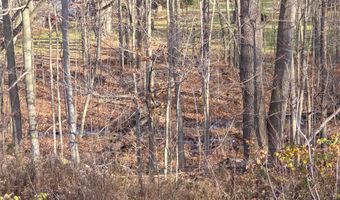 970 Irona Rd, Altona, NY 12910