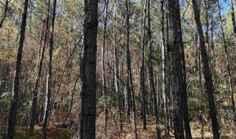 793 Puncheon Creek Dr, Andrews, SC 29510