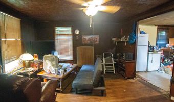 544 CR 2370, Alba, TX 75410