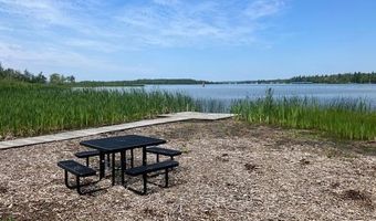 Maple Isle Court 34, Alanson, MI 49706