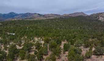 PN TBD BACHE ST & MESITA DR, Alto, NM 88312