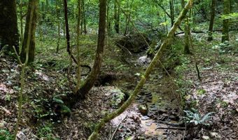 00 Coal Branch Rd, Beattyville, KY 41311