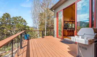 845 Hillcrest Dr, Basalt, CO 81621