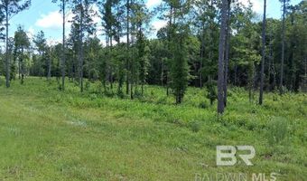 00000 Lottie Rd, Atmore, AL 36507