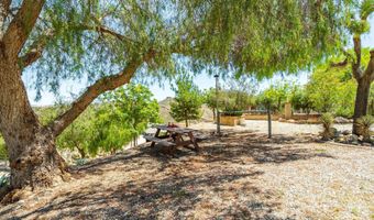 13602 Sego Rd, Agua Dulce, CA 91390