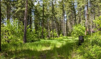 8615 Mt Hwy 35, Bigfork, MT 59911