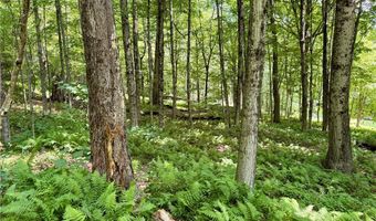 253 Davis Hollow Rd, Andes, NY 13731
