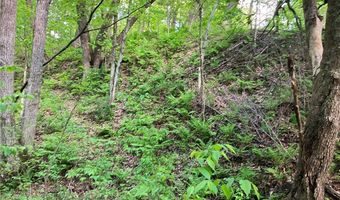 N3953-n3739 Bear Pen Road, Arkansaw, WI 54721