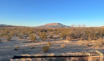 ERR State Hwy 118 S, Alpine, TX 79830