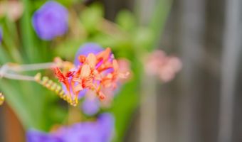 461 Saint Andrews Dr, Aptos, CA 95003