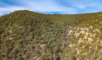 26131 Pinon Ridge Dr, Aguilar, CO 81020