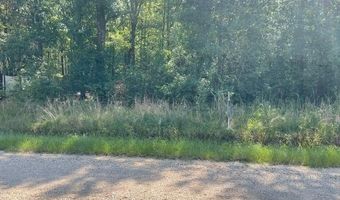 Lot 19 Trap St, Abita Springs, LA 70420