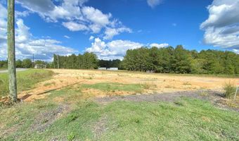 100 FANT Dr 2.5 AC, Ashville, AL 35953