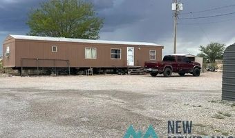 704 W Richey Ave, Artesia, NM 88210