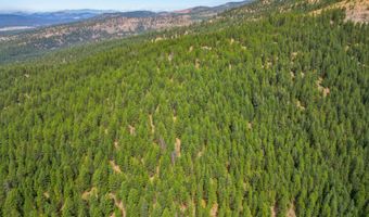 NNA USFS 2550 40 acres, Blanchard, ID 83804