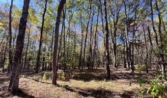 1235 White Hill Rd, Alma, NY 14715