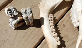 4775 S 50th Rd, Aldrich, MO 65601