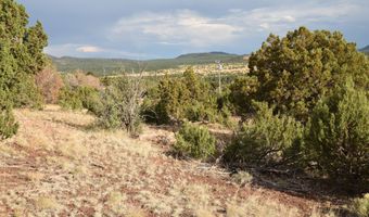 1623 E Sagebrush Rd 8, Williams, AZ 86046