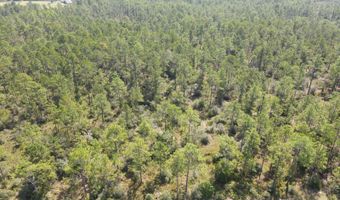 21947 NW Isoletta Rd, Altha, FL 32421