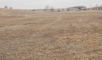 56626 868 Rd, Belden, NE 68717