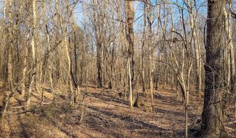 Farris Rd, Atoka, OK 74525
