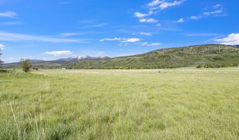 1260 S SORENSEN Way, Alta, WY 83414