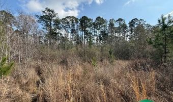 W Factory St, Amite, LA 70422