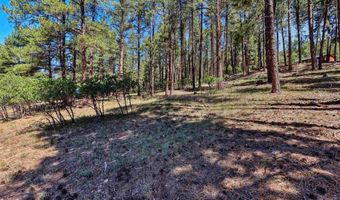 79 Spruce Way, Bayfield, CO 81122